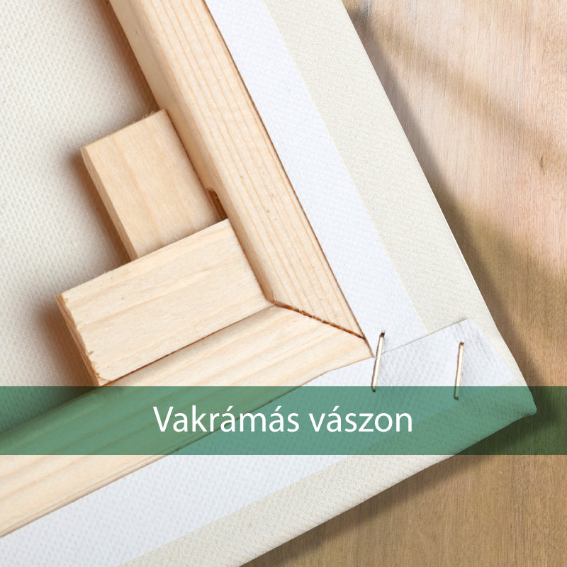 Népliget (Víztorony) - vászonkép