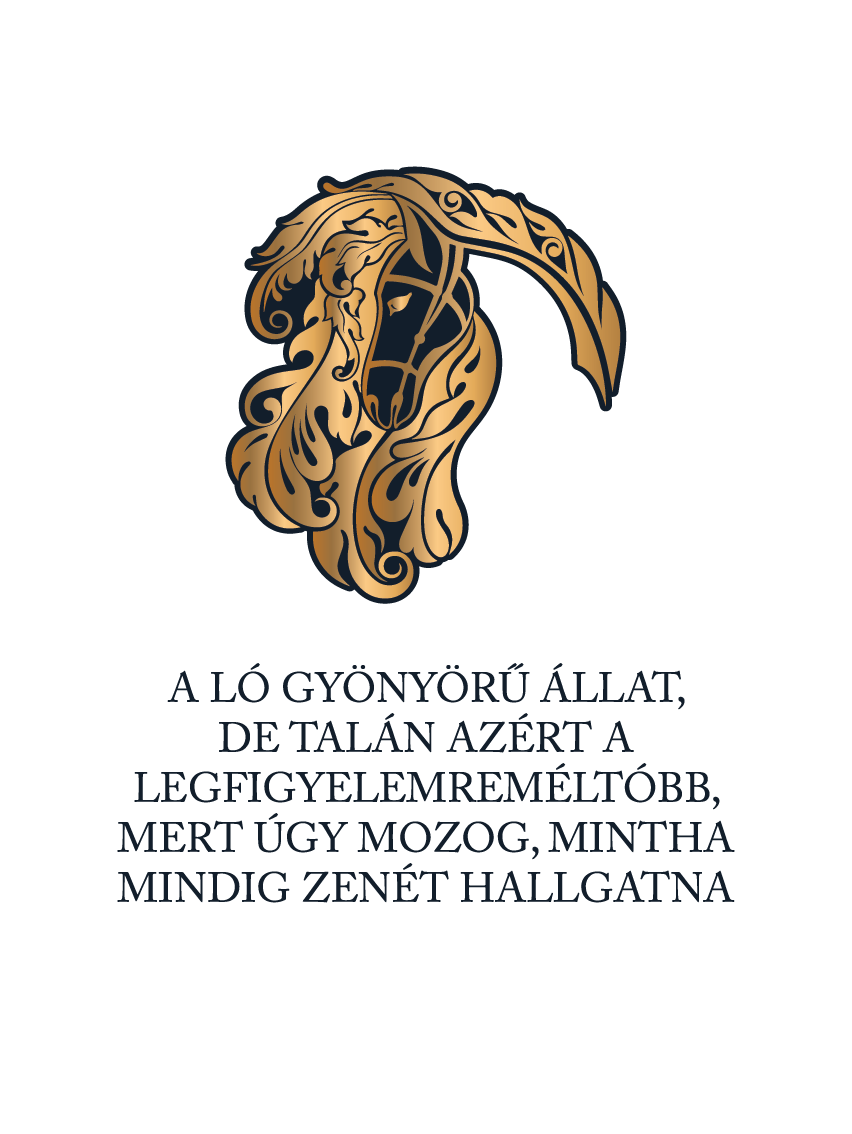 A ló gyönyörű állat - póló