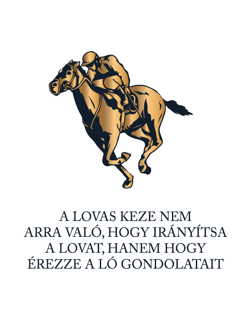 A lovas keze - lovas idézetes póló