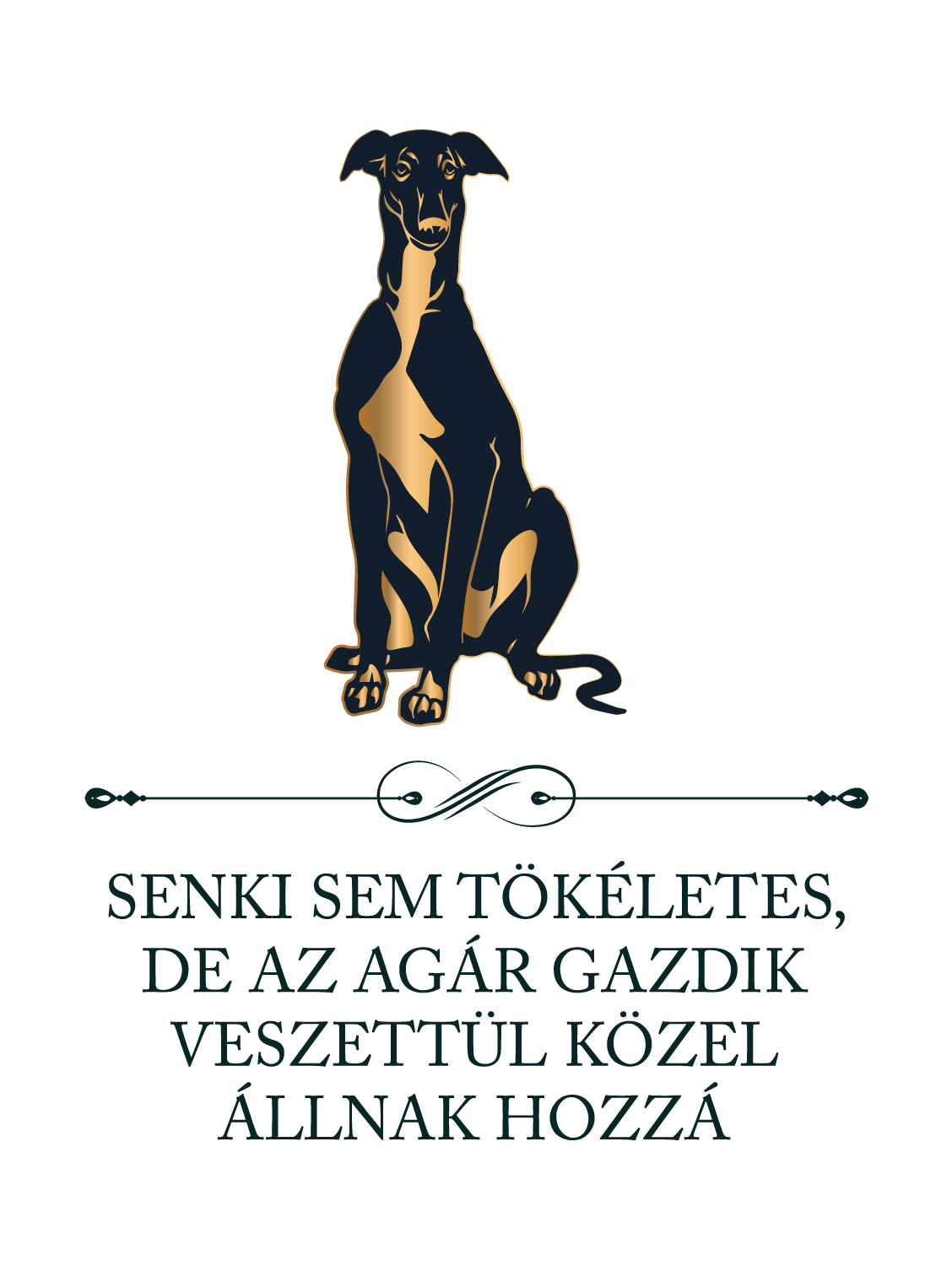 Tökéletes Agár gazdik - kutyás póló
