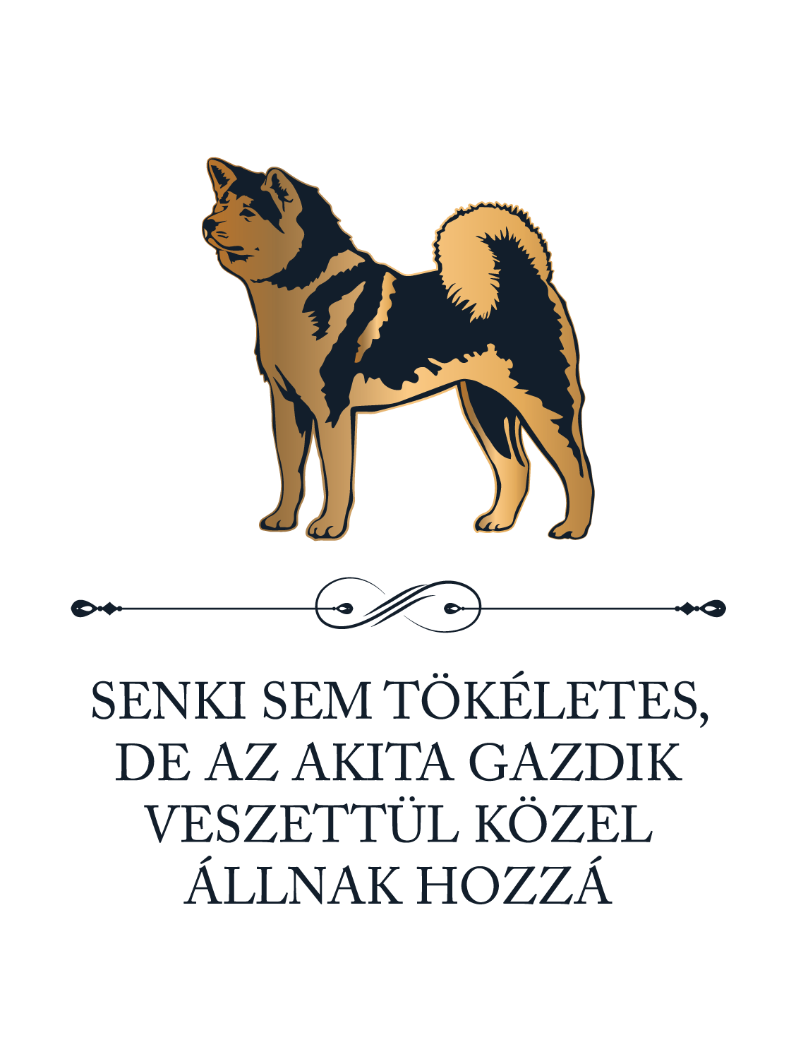 Tökéletes Akita gazdik - kutyás póló