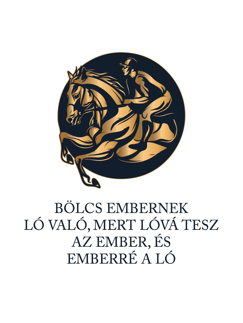 Bölcs embernek ló való - lovas idézetes póló