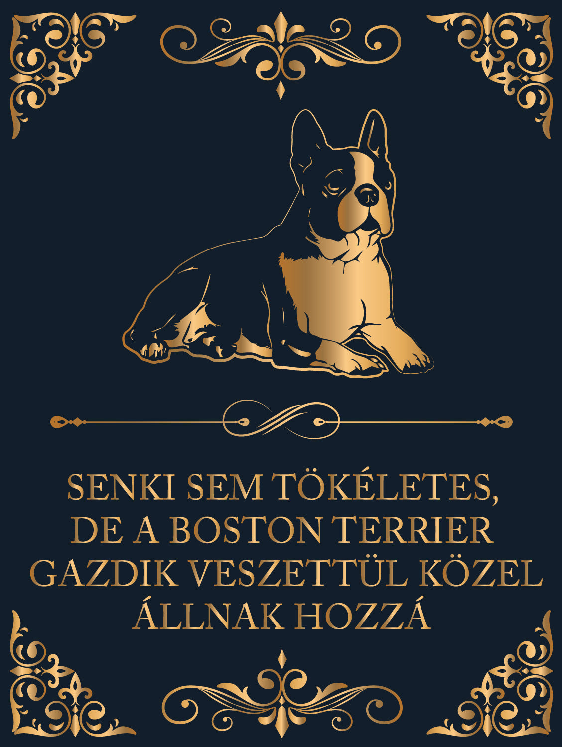 Tökéletes Boston terrier gazdik