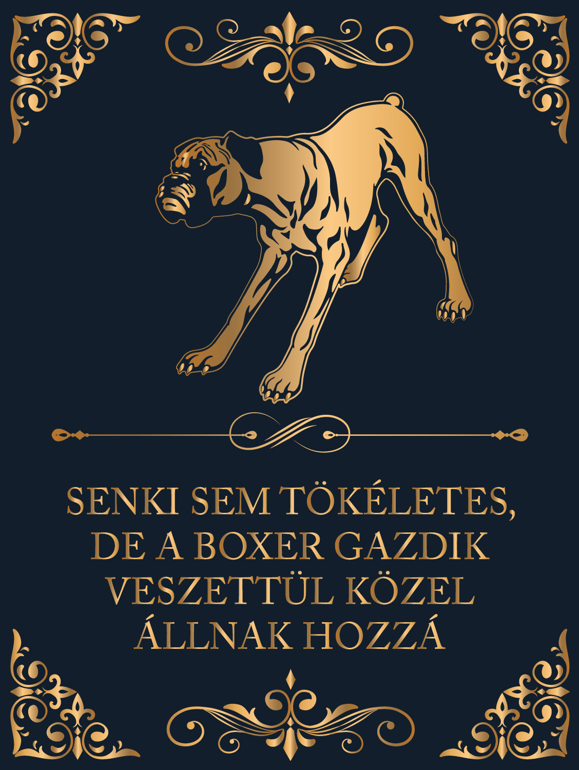 Tökéletes Boxer gazdik