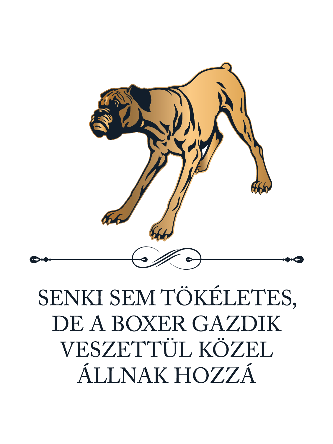 Tökéletes Boxer gazdik - kutyás póló