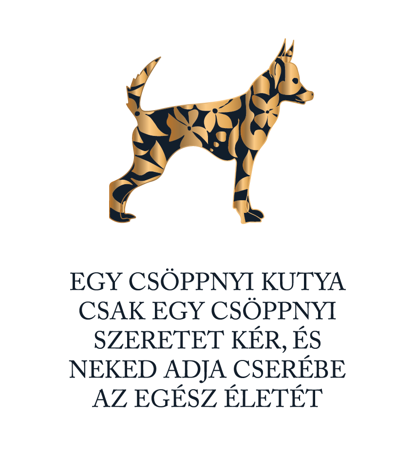 Csöppnyi kutya csöppnyi szeretettel - póló