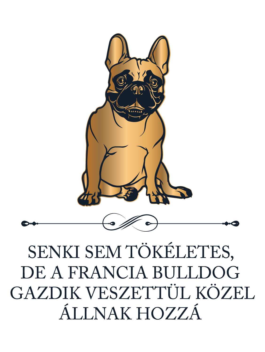 Tökéletes Francia bulldog gazdik - kutyás póló