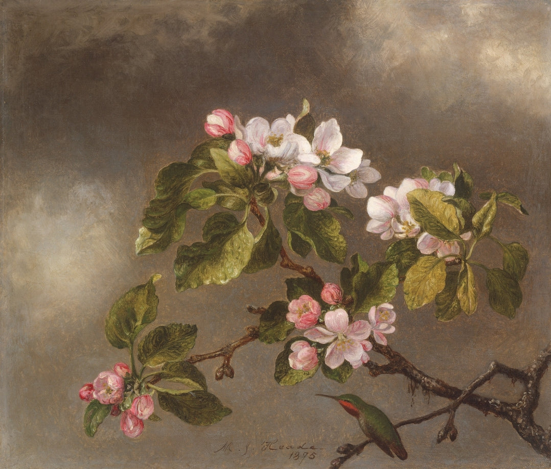 Martin Heade - Almafa ha virágzik