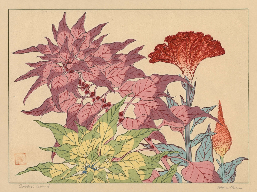 Sakai Hoitsu - Celózia