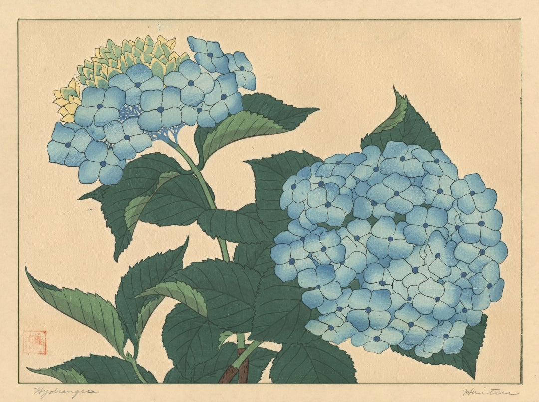 Sakai Hoitsu - Hortenzia
