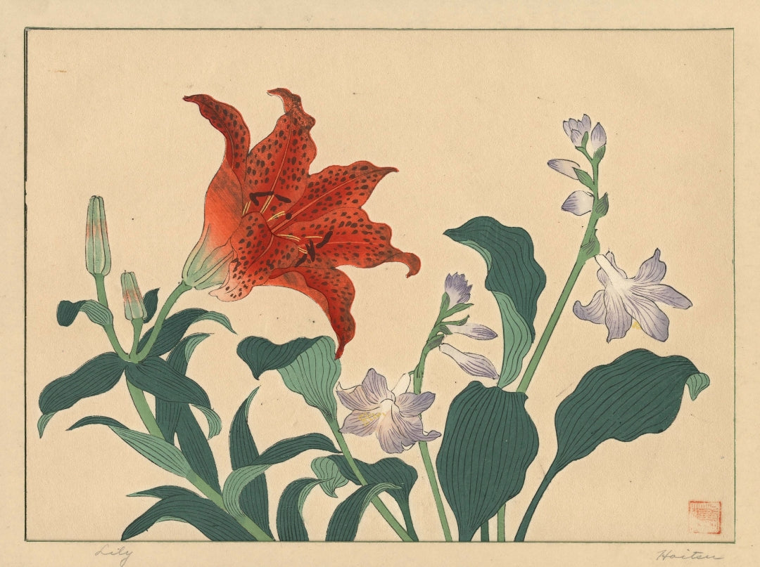 Sakai Hoitsu - Liliom
