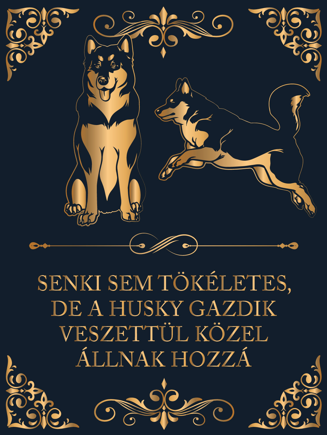 Tökéletes Szibériai husky gazdik