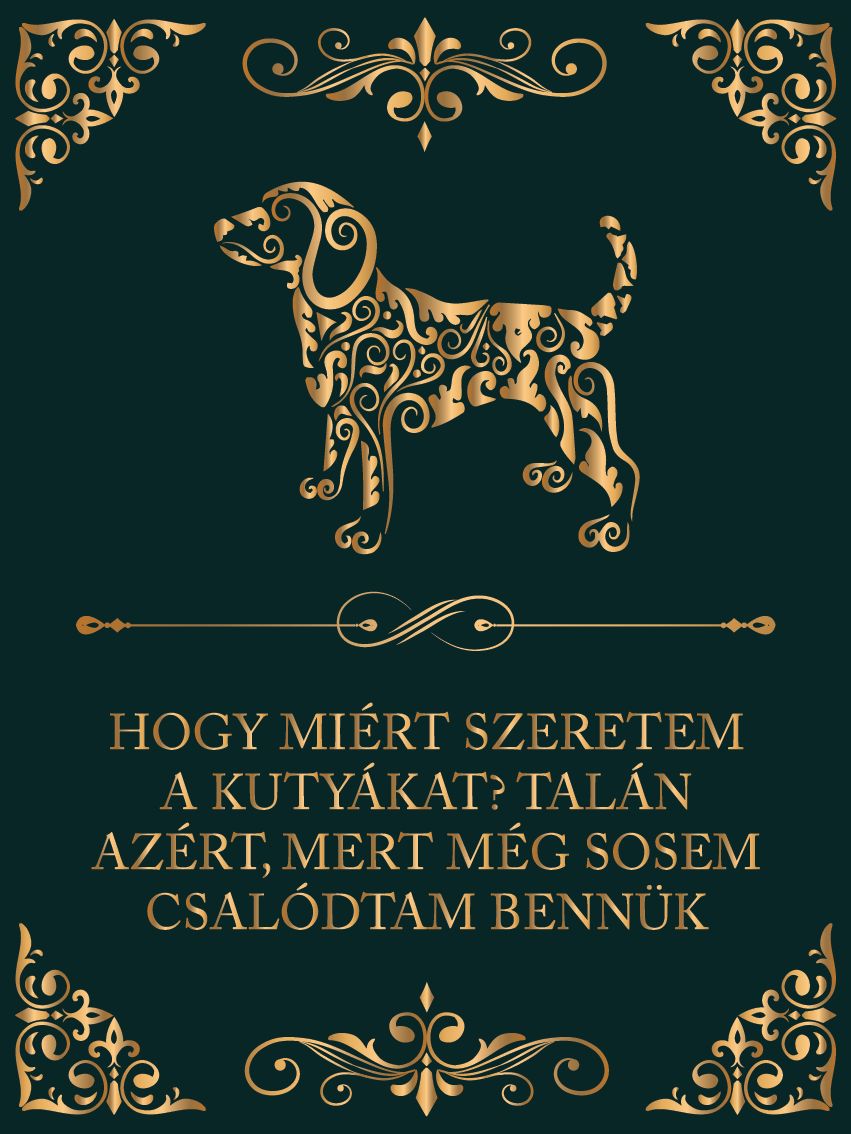 A kutyákban még sosem csalódtam