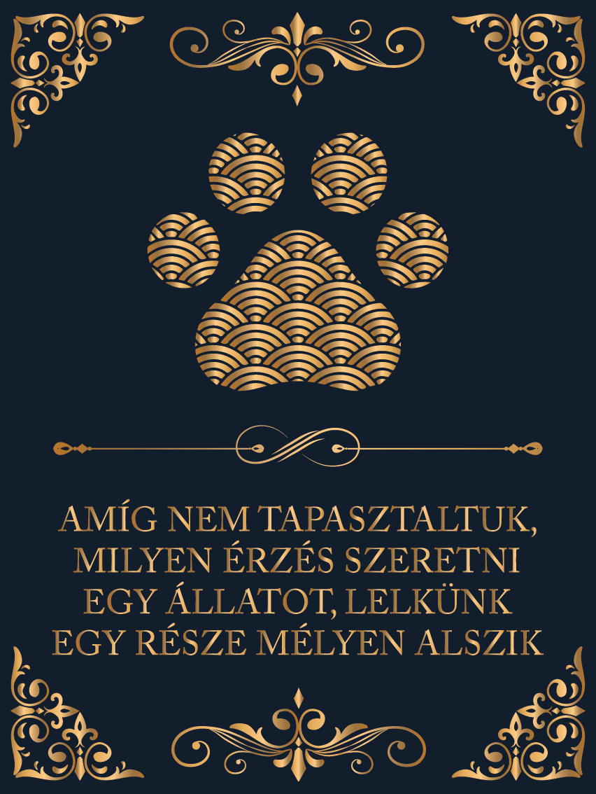Milyen érzés szeretni egy állatot