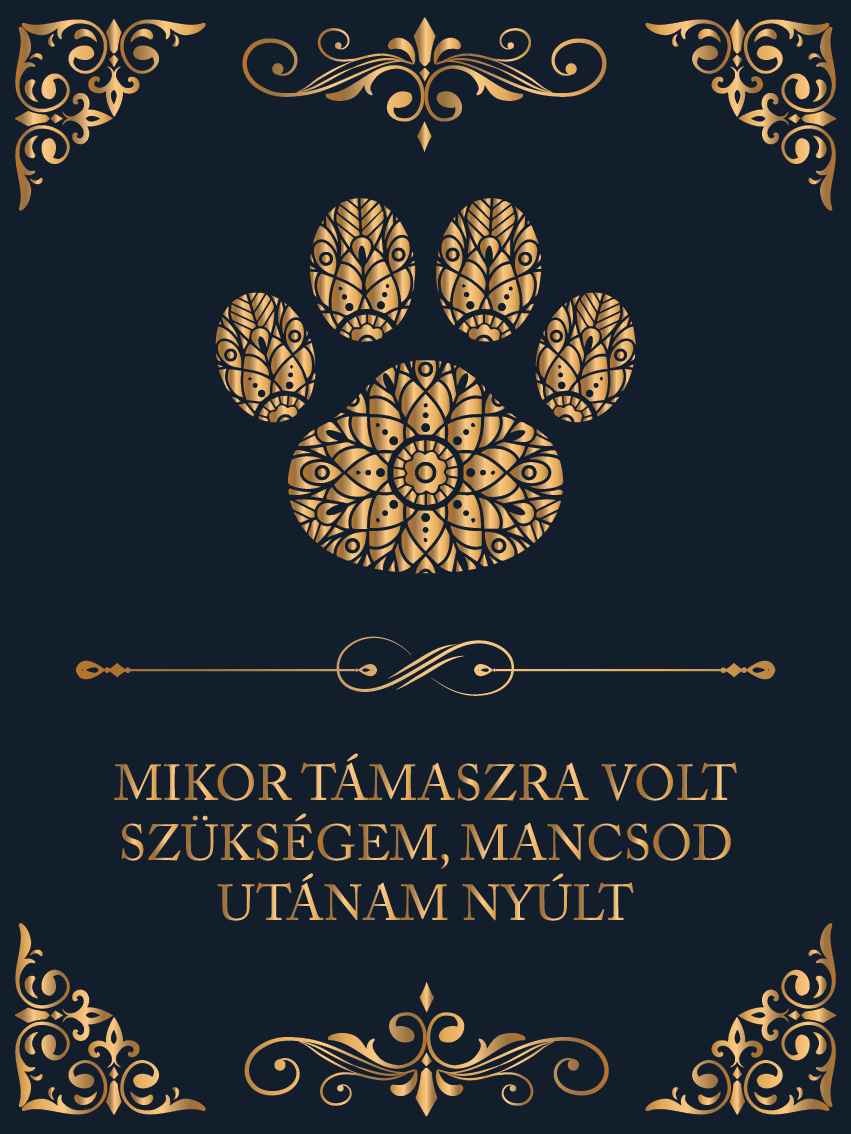 Mancsod utánam nyúlt
