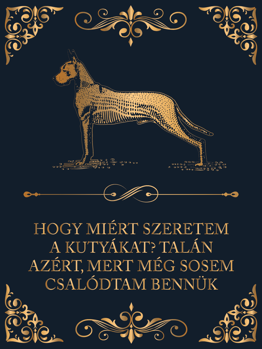 Hogy miért szeretem a kutyákat?