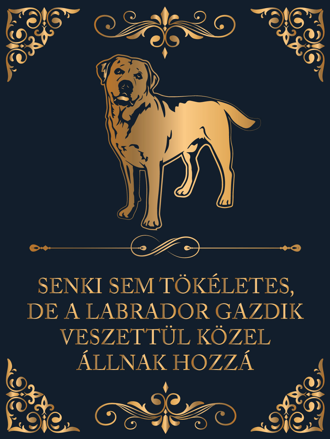 Tökéletes Labrador gazdik