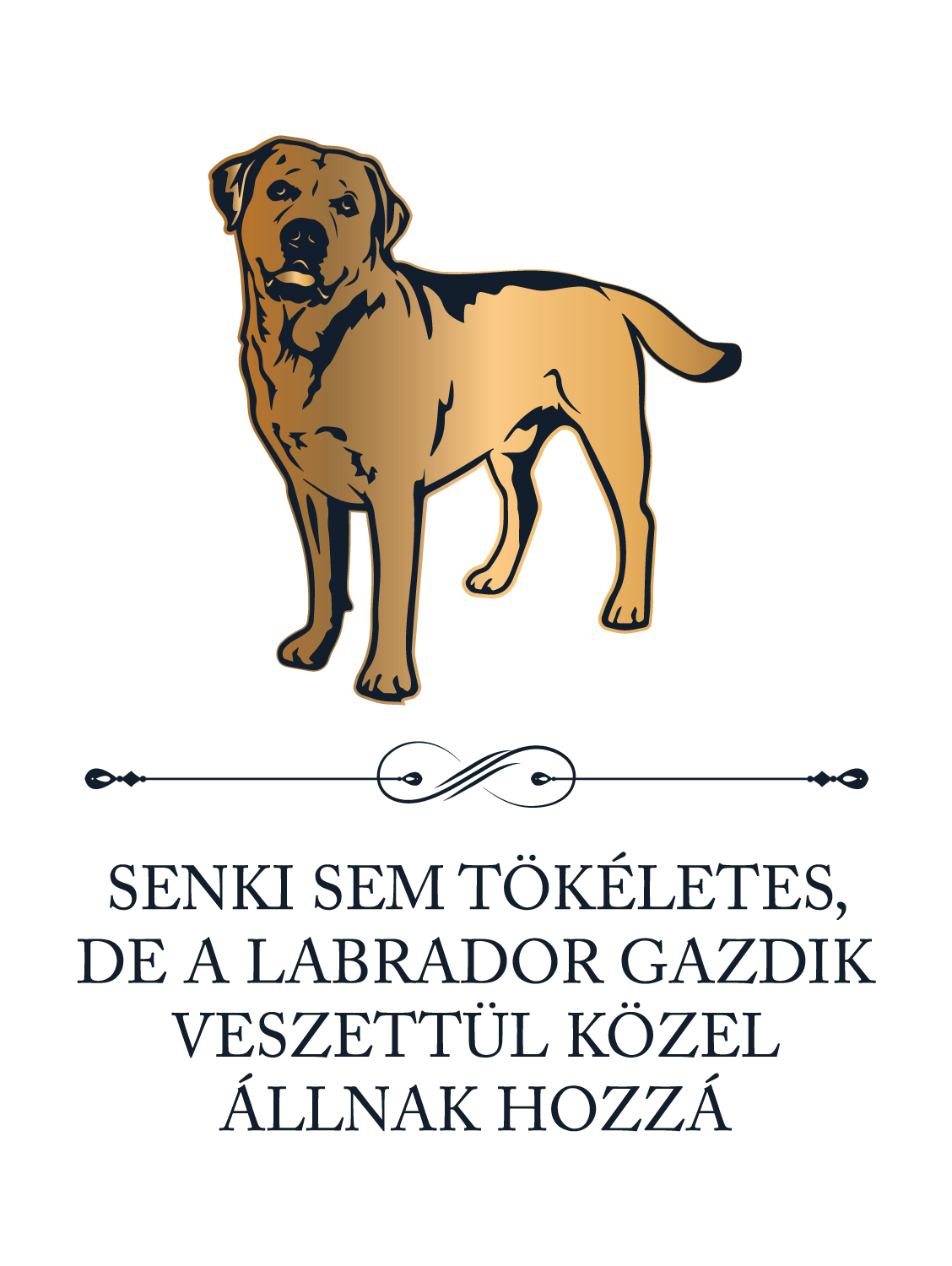 Tökéletes Labrador gazdik - kutyás póló