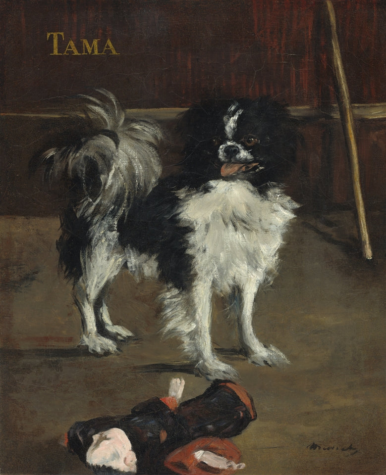 Édouard Manet - Tama kutya
