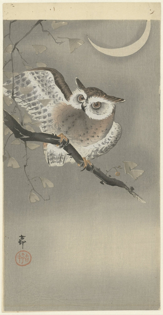 Ohara Koson - Bagoly