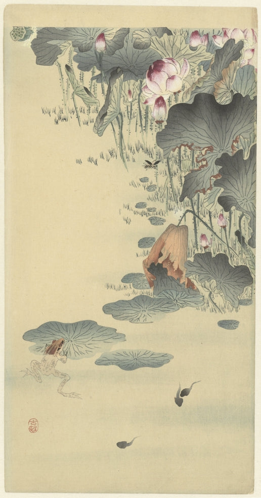 Ohara Koson - Ebihalak