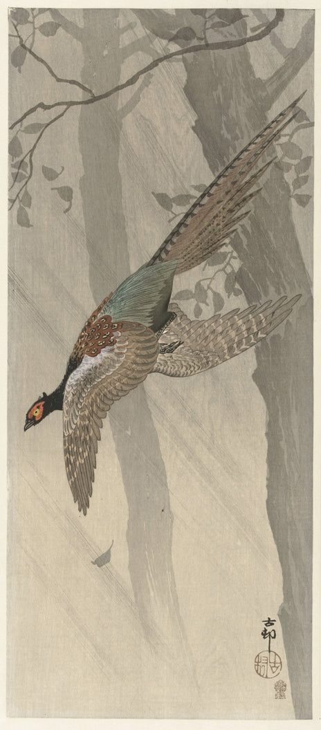 Ohara Koson - Fácánkakas