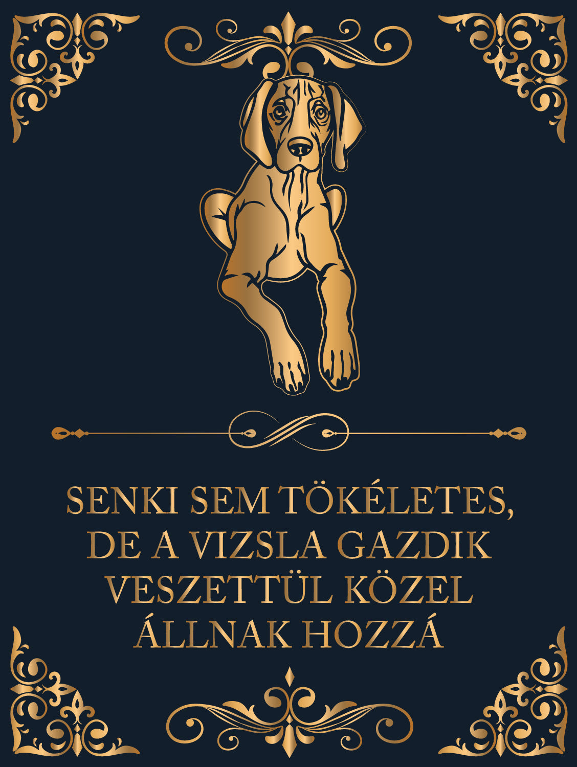 Tökéletes Vizsla gazdik