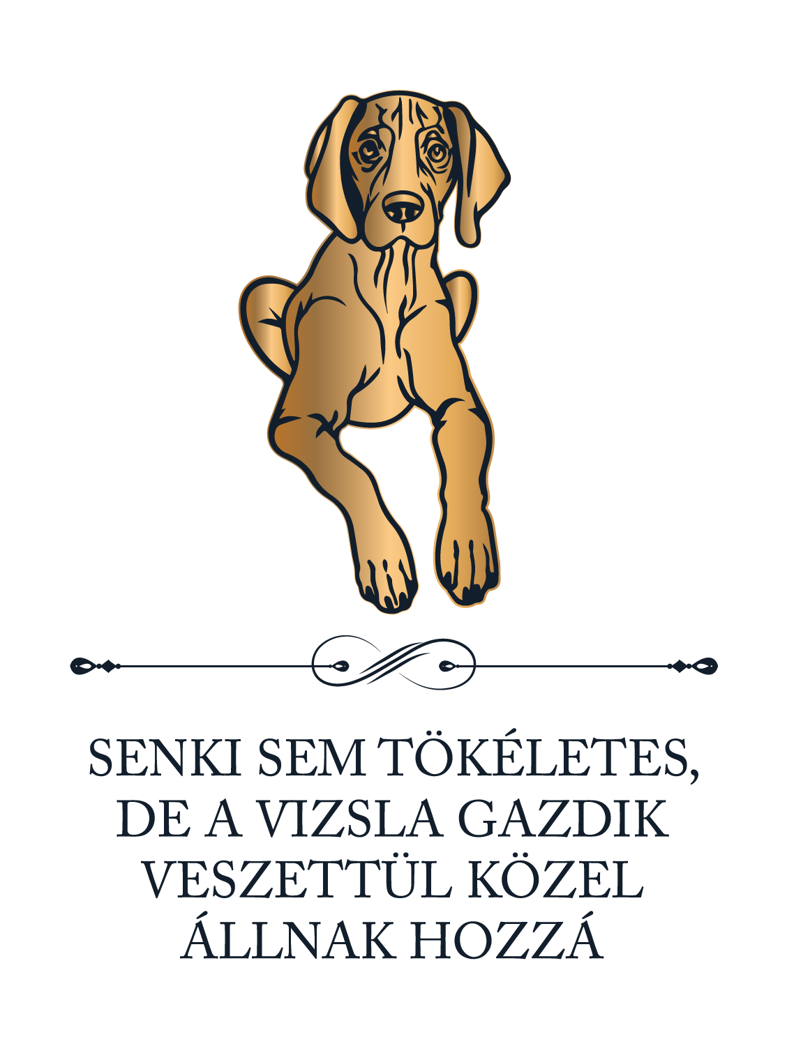 Tökéletes Vizsla gazdik - kutyás póló