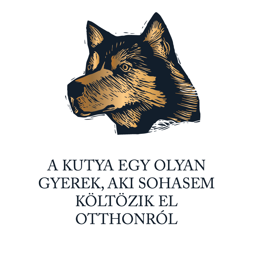 A kutya sosem költözik - póló