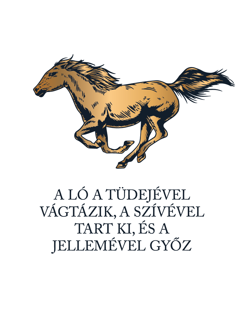 A ló jelleme - lovas póló