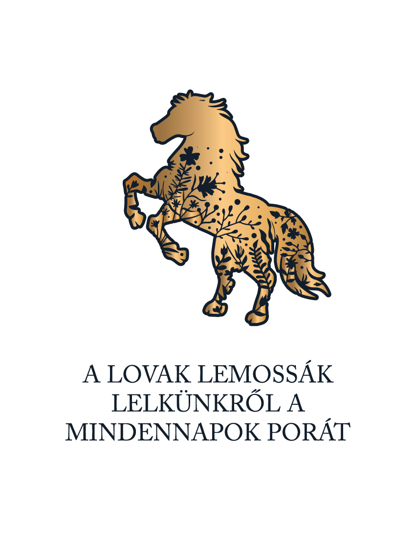 A lovak lemossák - lovas póló