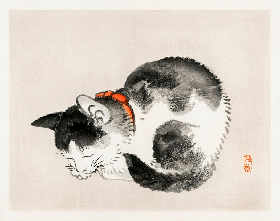 Kono Bairei - Alvó cica