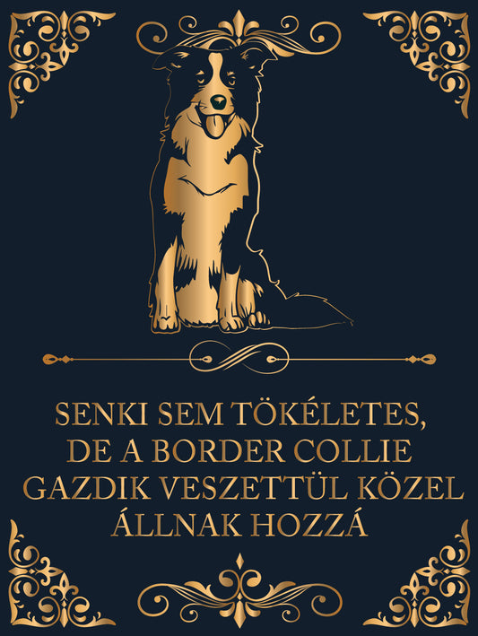 Tökéletes Border Collie gazdik