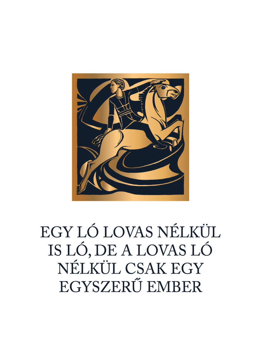 Ló lovas nélkül - lovas idézetes póló
