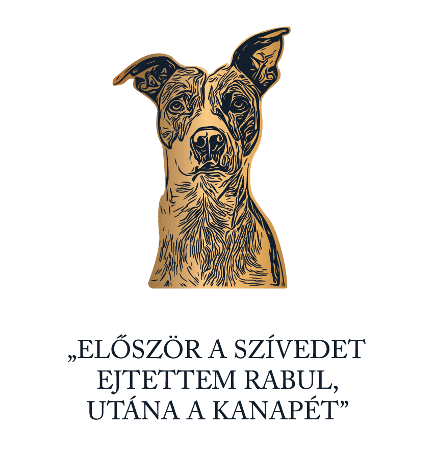 Először a szívedet, majd a kanapét - póló