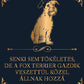 Tökéletes Fox terrier gazdik