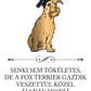 Tökéletes Fox terrier gazdik - kutyás póló