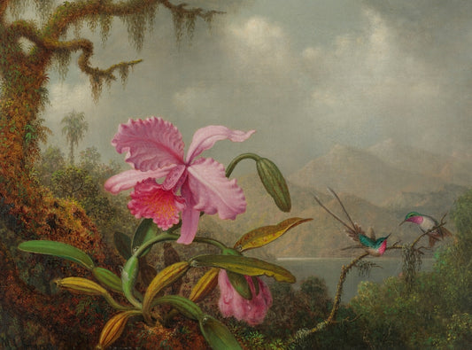 Martin Heade - Orchideák és Kolibri