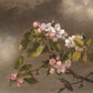 Martin Heade - Almafa ha virágzik