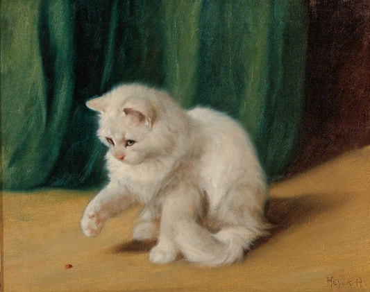 Arthur Heyer - Cica katicával