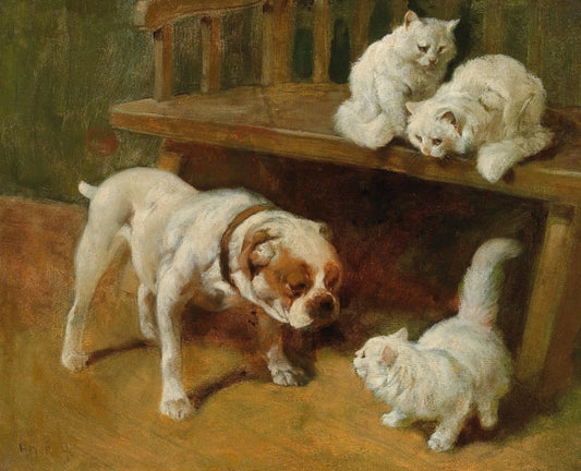 Arthur Heyer - Kutya macskákkal