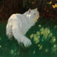 Arthur Heyer - Vadászat
