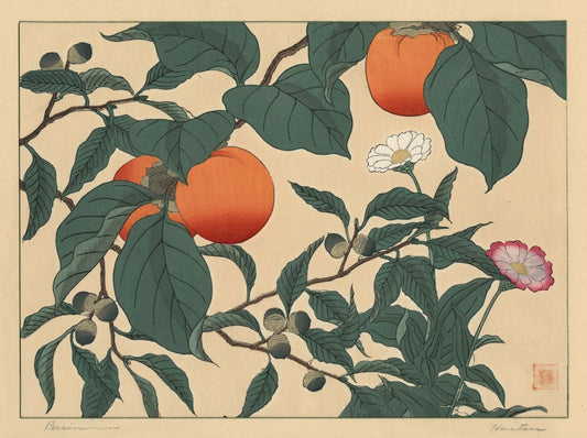 Sakai Hoitsu - Datolyaszilva