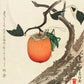 Hokusai - Datolyaszilva
