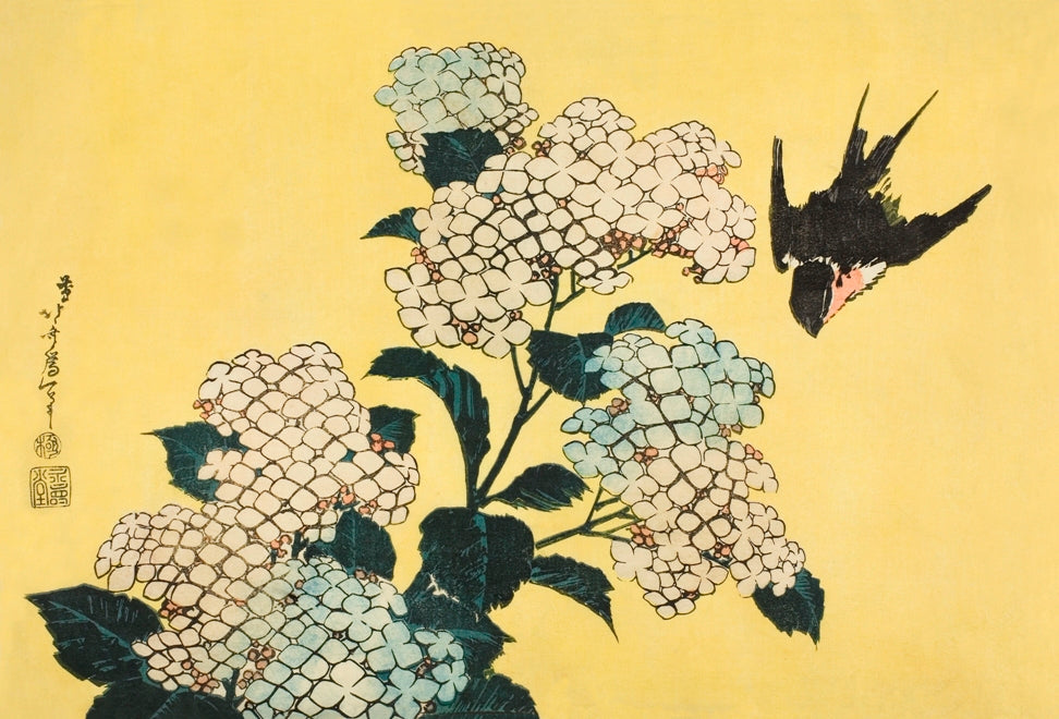 Hokusai - Fecskemadár