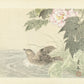 Imao Keinen - Fürdőző madárka