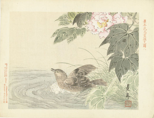 Imao Keinen - Fürdőző madárka
