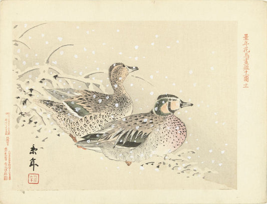 Imao Keinen - Kacsák a hóban