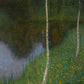 Klimt - Tópart nyírfákkal