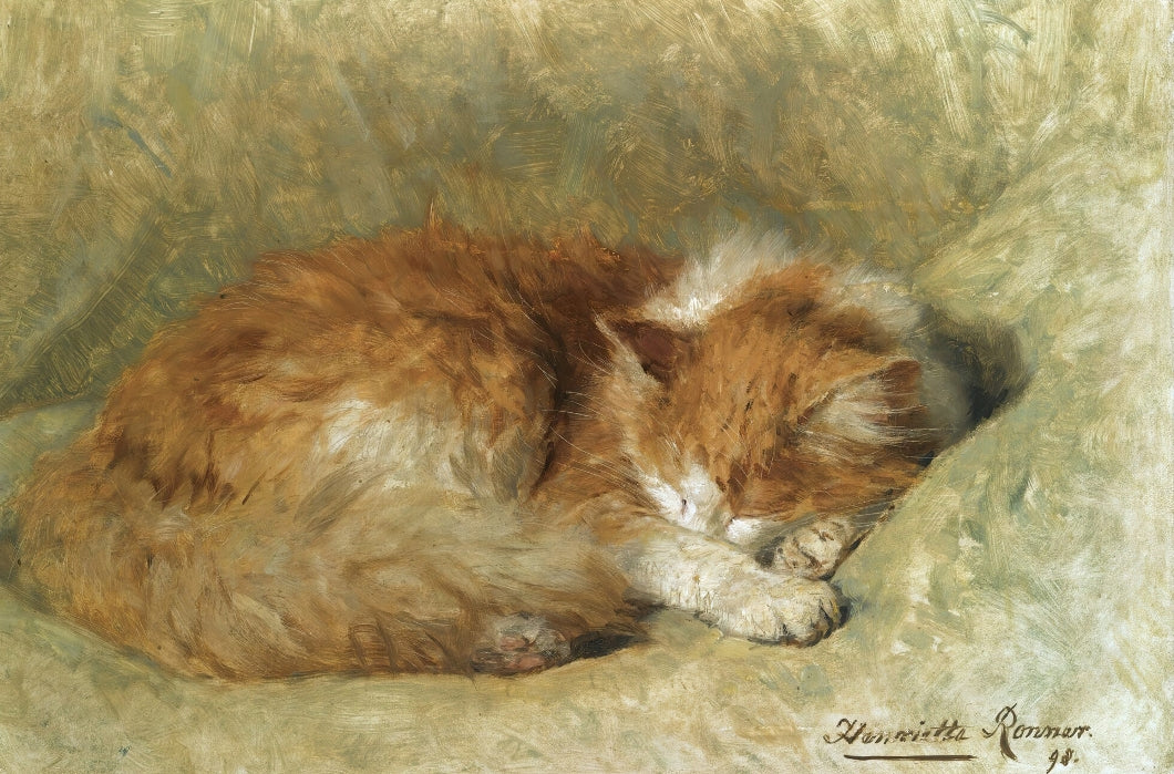 Ronner-Knip - Vörös macska sziesztája